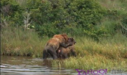 做爱视频全过程,一场禁忌之爱的私密旅程